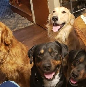 Meet your Posher, Tabitha